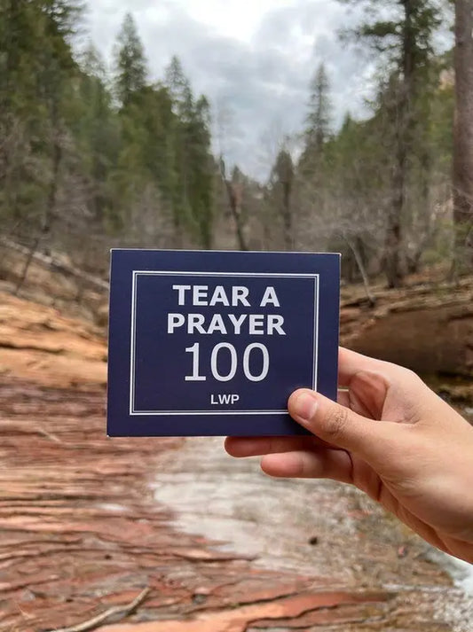 TEAR a PRAYER, 100 Days of Prayers to Help You Build Your Prayer Life
